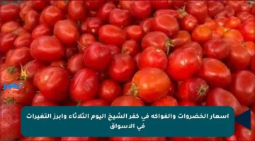 أسعار الخضروات والفواكه في كفر الشيخ اليوم الثلاثاء وأبرز التغيرات في الأسواق